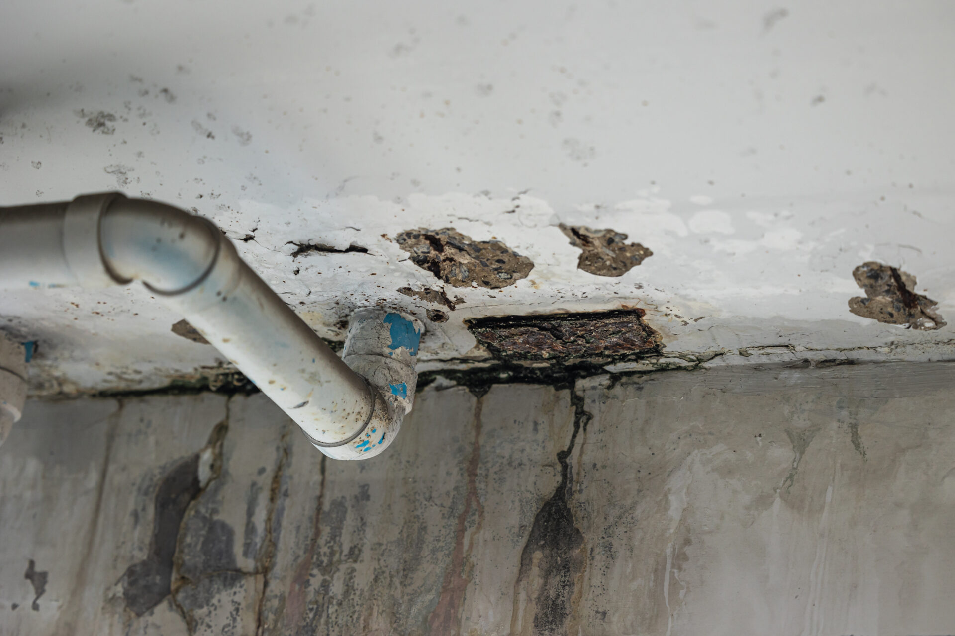Housing Disrepair Claims UK - Leaks & water damage